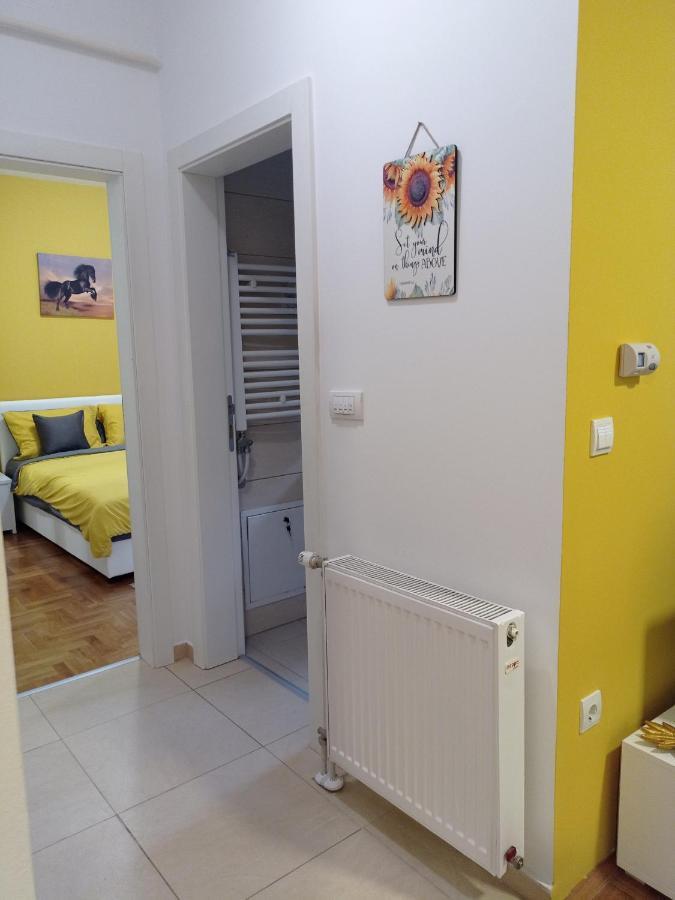 Apartman Sunflower Sremska Mitrovica Exterior foto